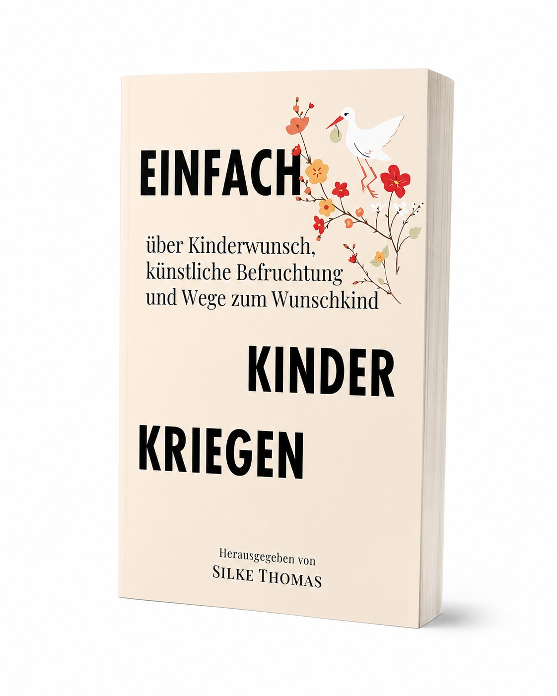 Buchcover Einfach Kinder kriegen von Silke Thomas